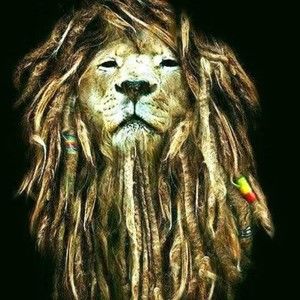 Meet your Posher, Tyrell